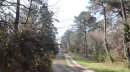 Forêt de la Coubre